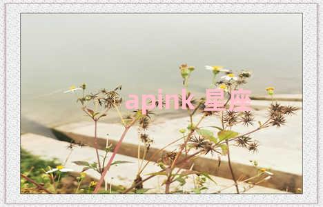 apink 星座